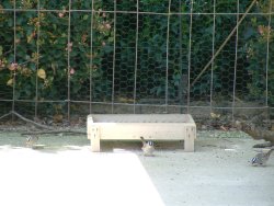 wood framed feeder
