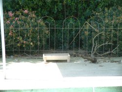 wood framed feeder