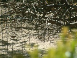 closeup feeding area