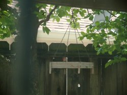 hanging platform